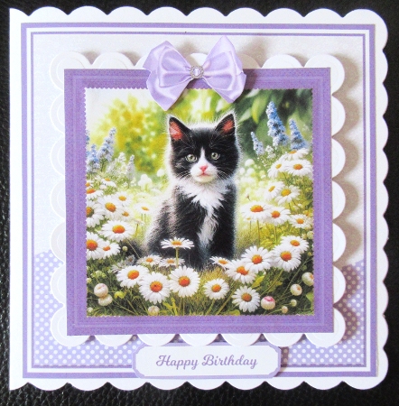 7x7, 6x6, 5x7 - DAISY CATS by Davina Rundle