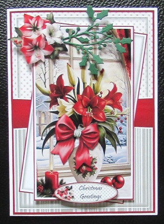 Amaryllis Christmas Vase Mini Kit Set Of 3 Card Fronts by Davina Rundle