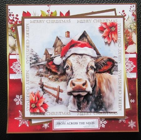 Mooey Christmas!  by Davina Rundle