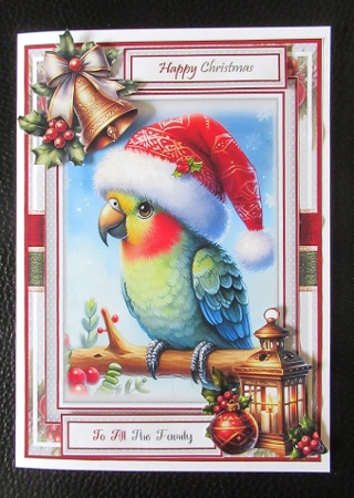 Festive Parrot Mini Kit With 3 Toppers, Makes 3 Cards by Davina Rundle