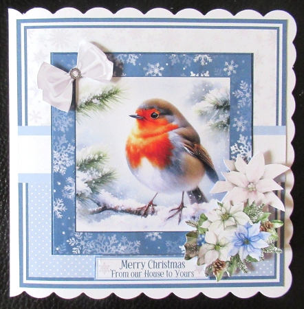 FROSTY MORNING BIRDS by Davina Rundle