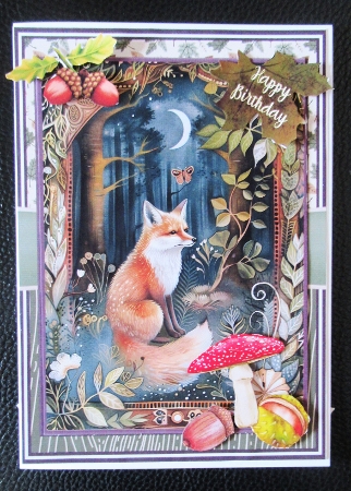 5x7 NIGHT FOREST set 1 by Davina Rundle