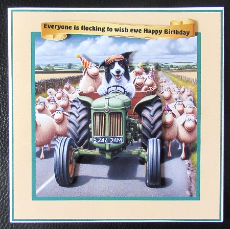 flocking to your birthday tractor by Davina Rundle