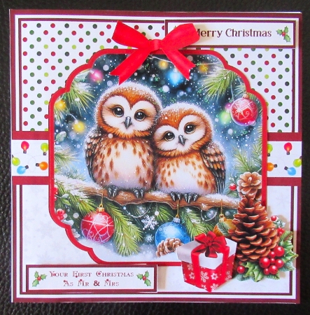 CHRISTMAS OWLS by Davina Rundle