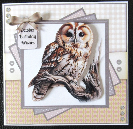 Majestic Owls by Davina Rundle