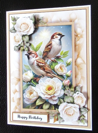 Tropical Birds 2 - Mini Kit by Davina Rundle