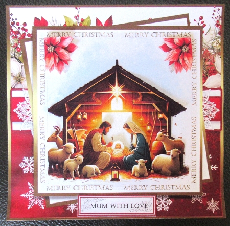 The Nativity  by Davina Rundle
