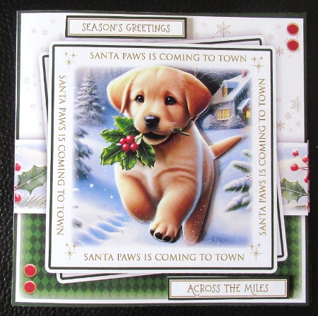 Santa Paws Holly Golden Labrador Mini Kit by Davina Rundle