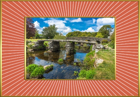 Glittery Stripe A5 Frames-Bright Succulants by Davina Rundle
