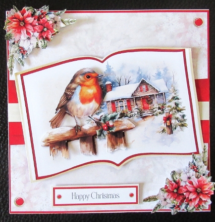 Robin Open Book by Davina Rundle
