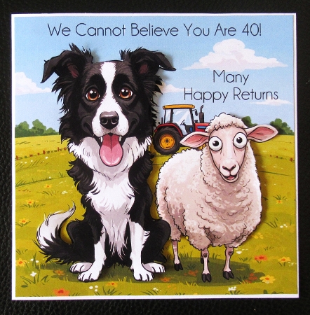 Sheep Dog  by Davina Rundle