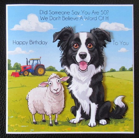 Sheep Dog  by Davina Rundle