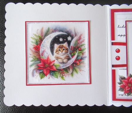Christmas Moon_Cats by Davina Rundle