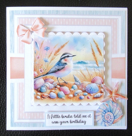 Coastal Birds by Davina Rundle