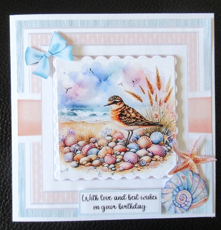 Coastal Birds by Davina Rundle