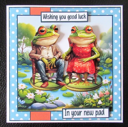 The frogs new home by Davina Rundle