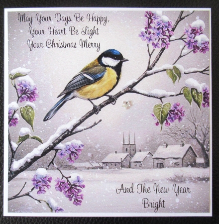 Winter Birds by Davina Rundle