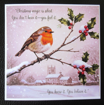 Winter Birds by Davina Rundle