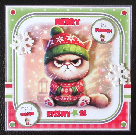 Grumpy Christmas Cat Mini Kit by Davina Rundle