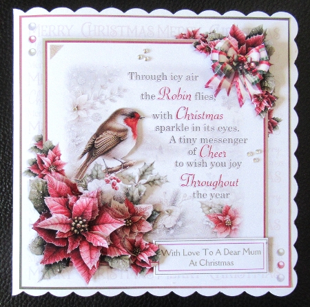 Through Icy Air The Robin Flies by Davina Rundle