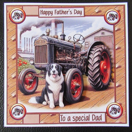 A tractor and mans best friend by Davina Rundle