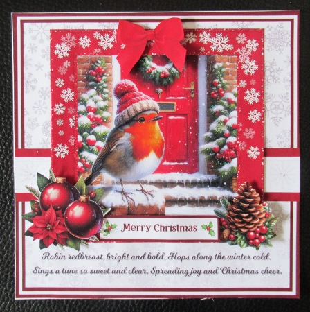 ROBIN REDBREAST 6x6 5x7 by Davina Rundle