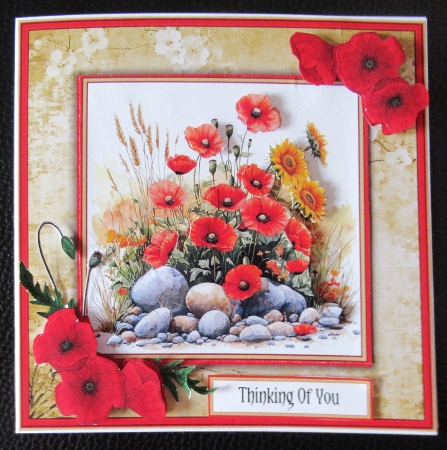 Poppies in Nature - Mini Kit 6x6 by Davina Rundle