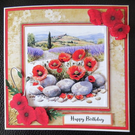 Poppies in Nature - Mini Kit 6x6 by Davina Rundle