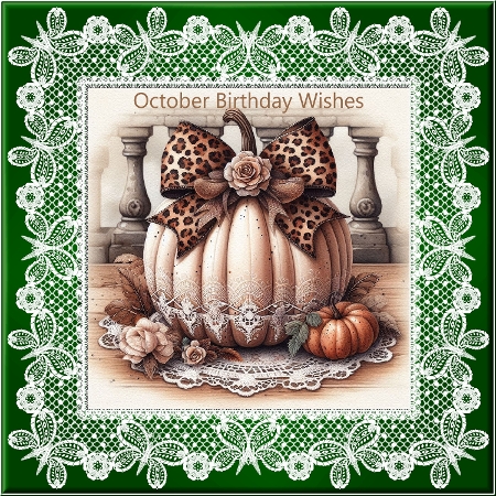 Bow Pumpkins by Davina Rundle