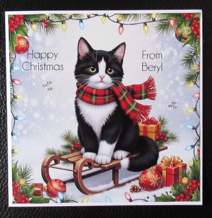 Sleigh Cats 1 by Davina Rundle