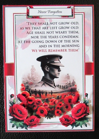 Ode Of Remembrance Mini Kit  by Davina Rundle