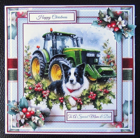 festive tractor with sheepdog by Davina Rundle