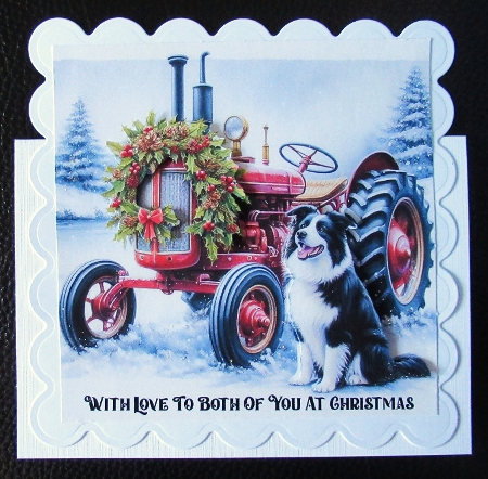 festive tractor with sheepdog by Davina Rundle