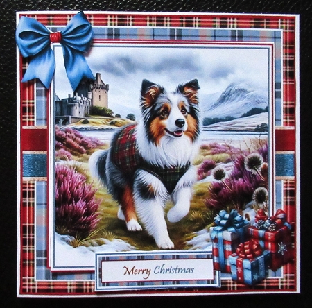 Walking In The Highlands Collection by Davina Rundle