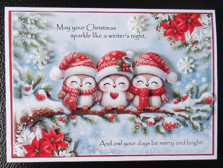 A Christmas Night by Davina Rundle