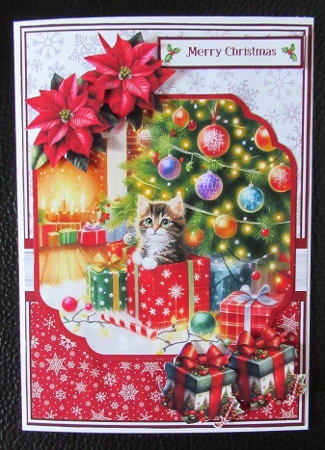 5x7 6x6 PEEKABOO CHRISTMAS by Davina Rundle