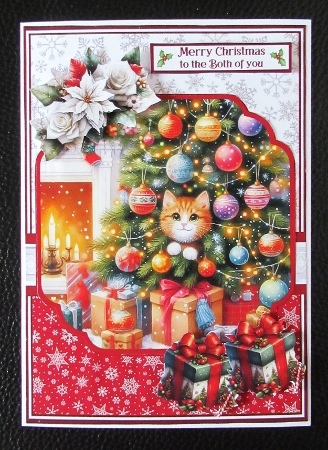 5x7 6x6 PEEKABOO CHRISTMAS by Davina Rundle