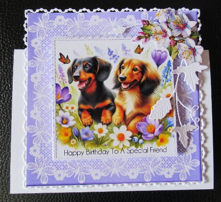 20+ assorted Dachshunds as requested by Davina Rundle