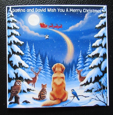 Waiting for Santa  by Davina Rundle