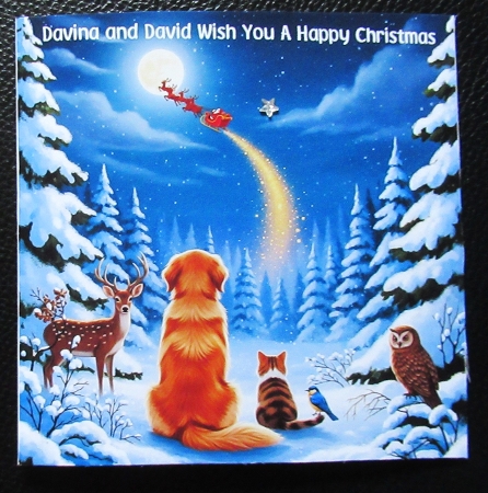 Waiting for Santa  by Davina Rundle