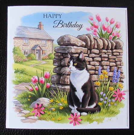 Countryside Cats 1 by Davina Rundle