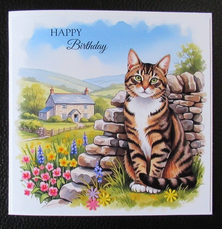 Countryside Cats 1 by Davina Rundle
