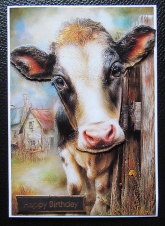 EW A4 Cow 03 by Davina Rundle
