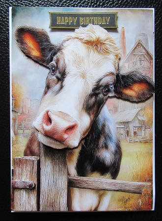 EW A4 Cow 04 by Davina Rundle