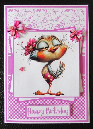 Quirky Birds Mini Kit 5x7 (3) by Davina Rundle