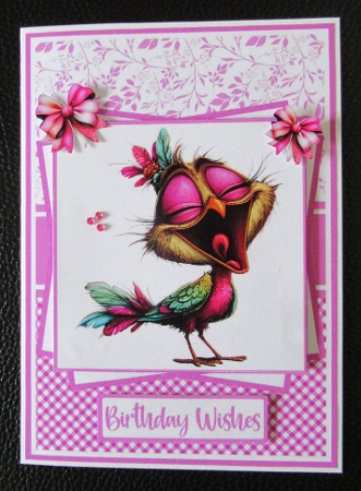 Quirky Birds Mini Kit 5x7 (3) by Davina Rundle