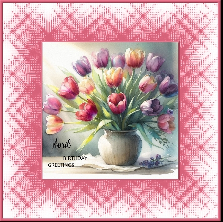 Tulips in Morning Light  by Davina Rundle