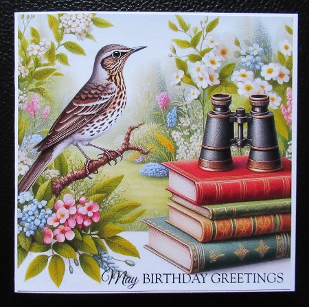 20+ birdwatching books and binoculars by Davina Rundle