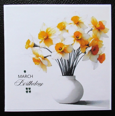 Spring Simplicity - Narcissus by Davina Rundle