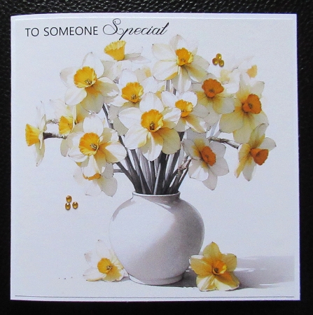 Spring Simplicity - Narcissus by Davina Rundle